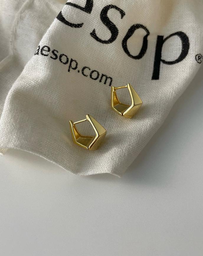 Hexagon Earrings